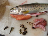 758620e9.JPG