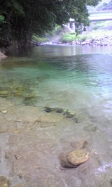 872f016b.jpg