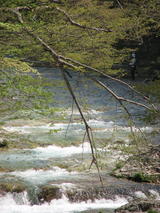 hanesyo0507