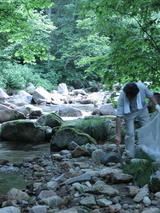 c040511e.JPG