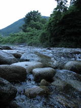 d37874c8.JPG