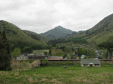 d4466da4.gif