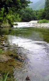 d572ff5d.jpg