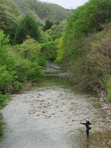 d5ee6e96.JPG