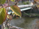 d72e25b5.JPG