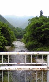 dd168018.jpg