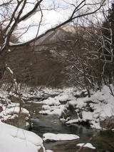 f8925767.JPG