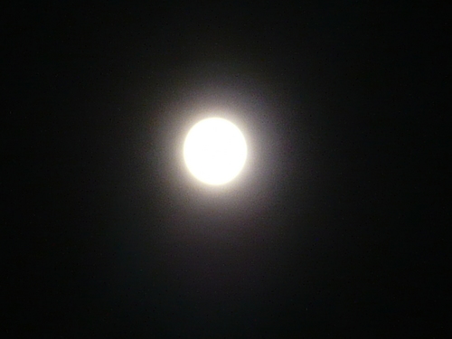 P1010996