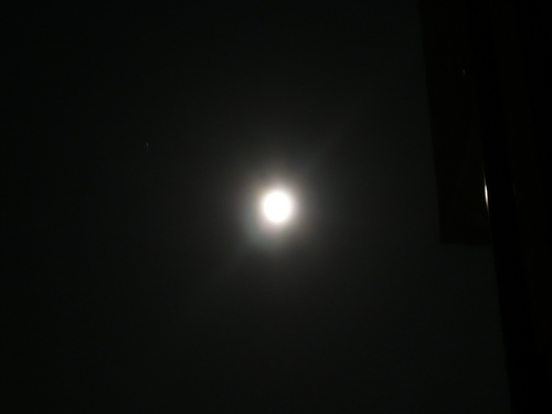 P1010995