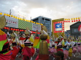阿波踊り絶景