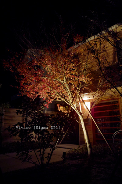 SDIM04321