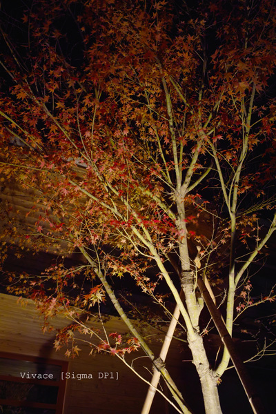 SDIM0438