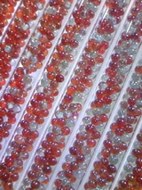 3c9475f3.JPG