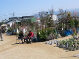 2312e449.JPG