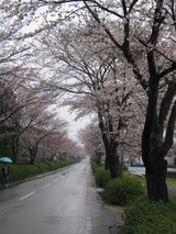 267c5e5c.JPG