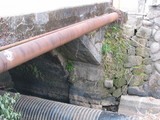 3e829486.JPG