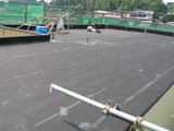 5083fd02.JPG