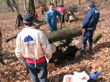 54d19b28.JPG