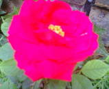 74b20587.jpg