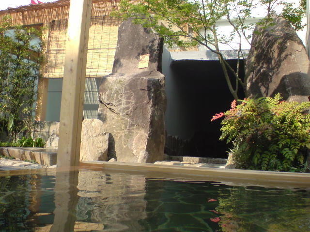 74b7e919.jpg