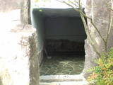 750e77d6.jpg