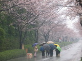 78f067be.JPG