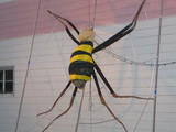 8127266e.JPG
