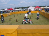 888952d5.JPG