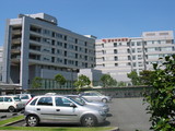 997a8161.JPG