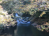 b080ca8b.JPG