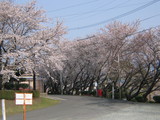 b5f3e18b.JPG