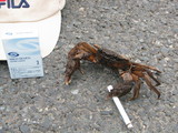 c7867ac6.JPG