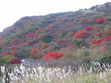 c7b56e01.JPG