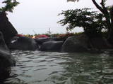 c7fe702f.jpg