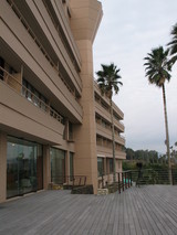 c88333c1.jpg