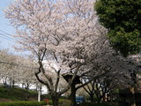 c9a01c8d.JPG