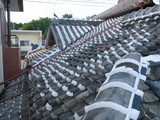 cb9239ab.JPG