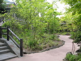 da6c484c.JPG