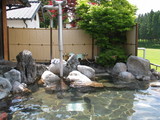 e71f7455.JPG