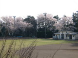 e9c05122.JPG