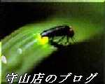 滋賀県守山市賃貸 守山店HPブログへ