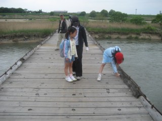 IMG_0599.JPG