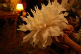 0919d640.JPG