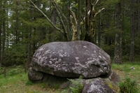 s-IMGP0976