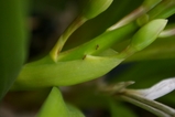 1d7c0003.jpg