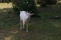 s-IMGP1346