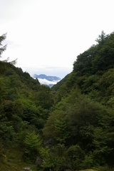 64f0664c.jpg