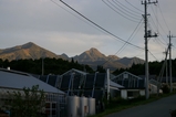 75198d62.jpg
