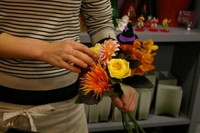 s-IMGP1376