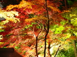 Nov22nd 025_7_1_7_1